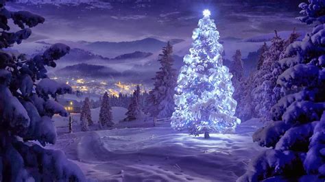 200 Latest Concepts Of Christmas Tree Very Hight Resolution Galler