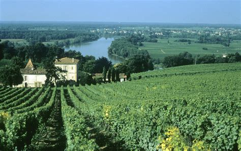 Le Vignoble Des Premières Côtes De Bordeaux Surplombant La Flickr