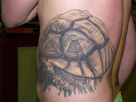 Realistic Colored Big Tortoise Tattoo On Side Rib Tortoise Tattoo