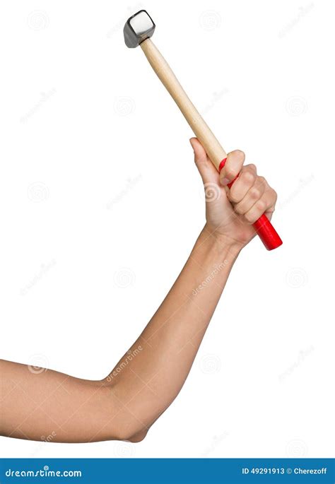 female hand holding hammer stock image image of handle 49291913