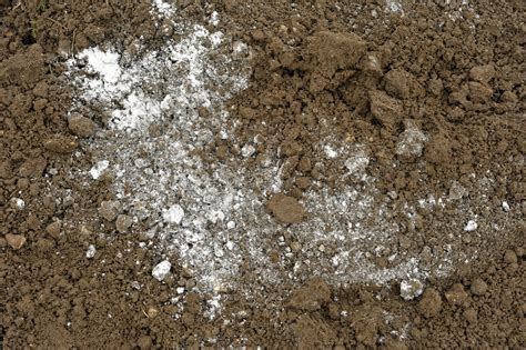 How And When To Use Lime For Acidic Soil Uk