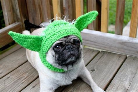 Yoda Dog Hat Alien Made To Order
