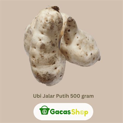 Ubi Jalar Putih Konvensional 500 Gram Gacasshop