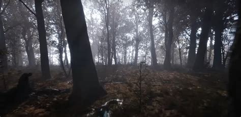 Beautiful New Unreal Engine 5 Tech Demo ‘broadleaf Forest Featuring