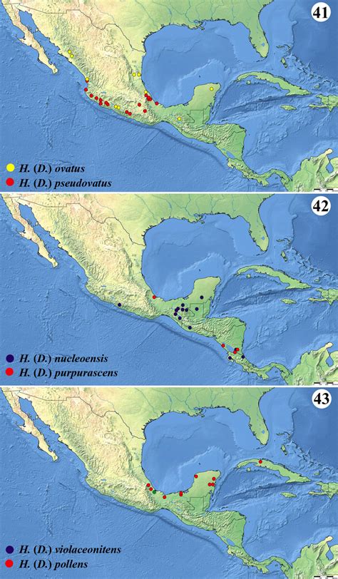 Geographical Distribution Of Hydrophilus Dibolocelus Spp In Mexico