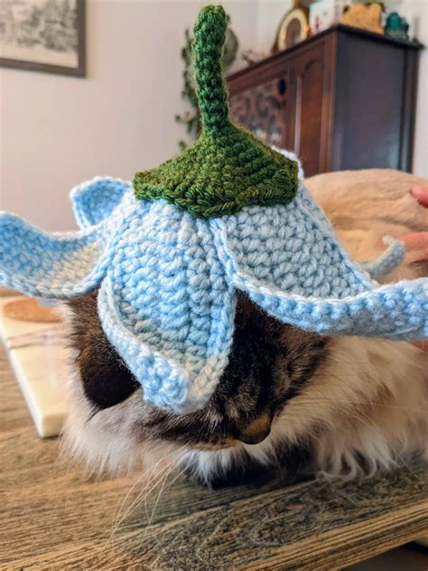 Crochet Flower Hat For Your Pets Pattern Sir Purl Grey