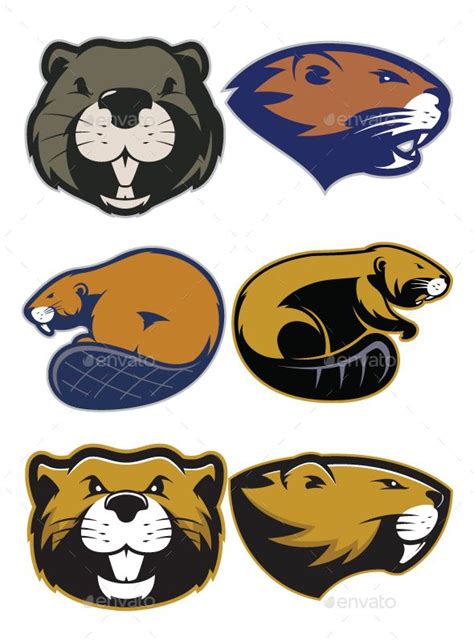 Beaver Mascot Logo | Beaver cartoon, Beaver animal, Beaver drawing