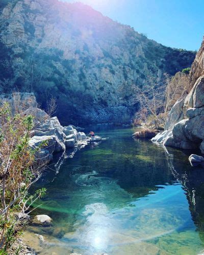 Accidental Naked Reflection Reddit Alta California