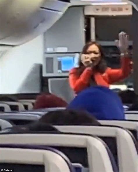 Southwest Airlines Flight Attendant Gets Teeth Knocked Out Mminriko