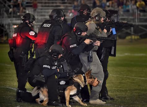 Dogs And Their Handlers Demonstrate Skills During Ocpcas 29th K9 Show