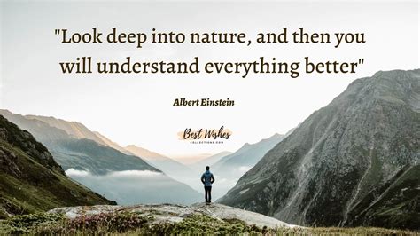 World Nature Conservation Day 28 July Messages And Quotes