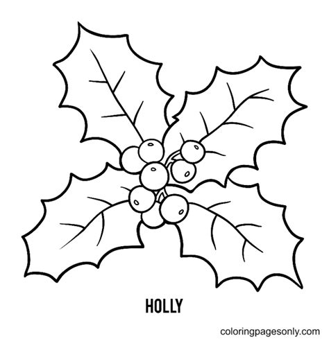 Christmas Holly Coloring Pages Printable For Free Download