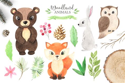 Save on art prints, posters, canvas & more! Watercolor Woodland Animals Set in Illustrations on Yellow ...