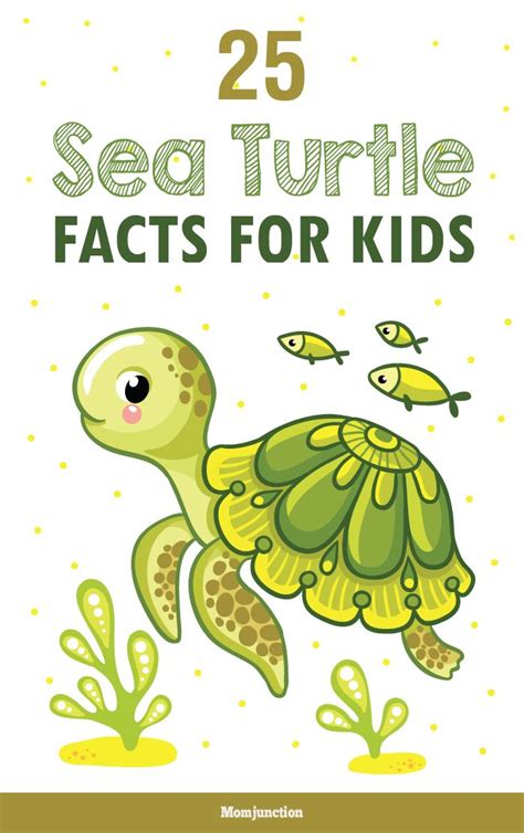 25 Fun Facts About Sea Turtle For Kids Turtle Facts For Kids Turtle