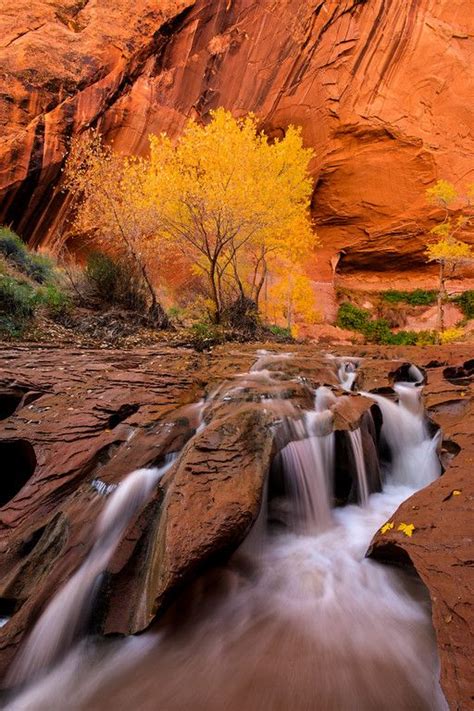 A Beautiful Waterfall In Escalante National Park Sits In Front Of