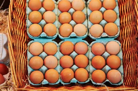 Fresh Eggs On Farmers Market Stock Photo Image Of Consumerism