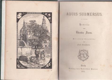 Aquis Submersus Novelle Von Theodor Storm By Storm Theodor