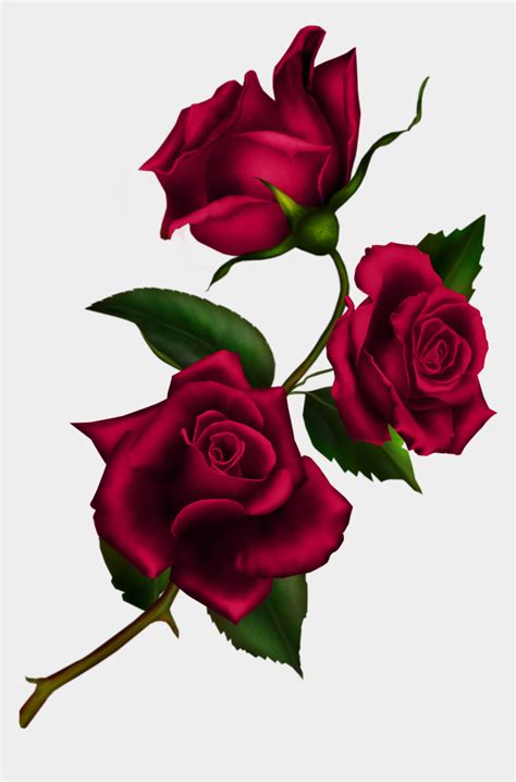 Free Download Rose Gothic Png Clipart Rose Clip Art Roses And Stem