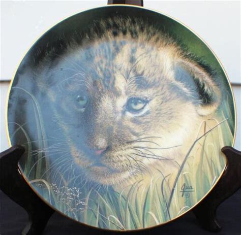 1991 princeton gallery curbs of big cats plate collection lion cub décor plate ebay