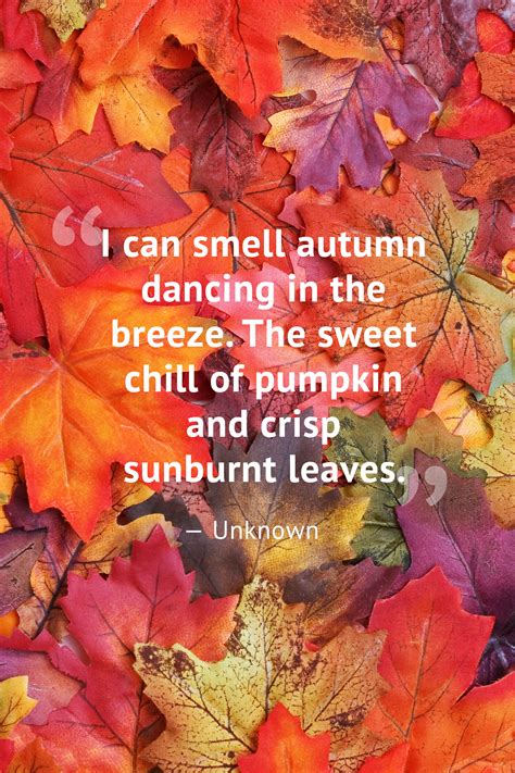 10 Beautiful Fall Quotes Best Sayings About Autumn