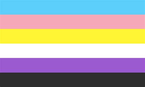 Nonbinary Trans Flag: Combining the Nonbinary and ...