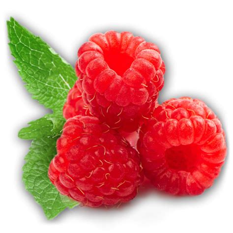 Raspberry Png Image Purepng Free Transparent Cc Png Image Library