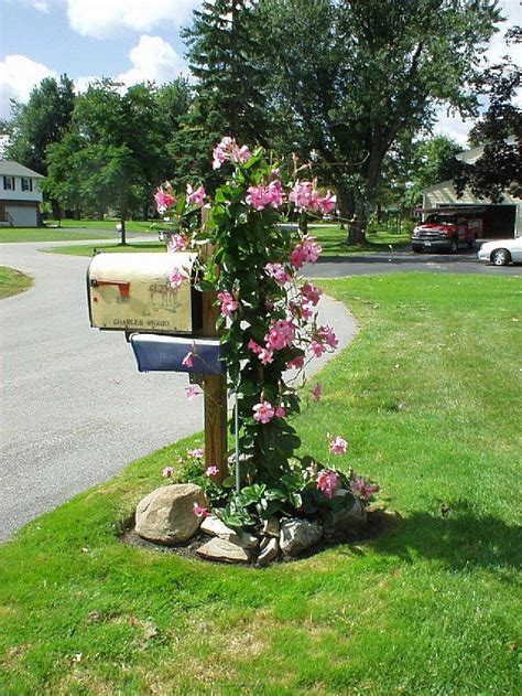 Mailbox plantings | Mailbox landscaping, Mailbox garden, Small front