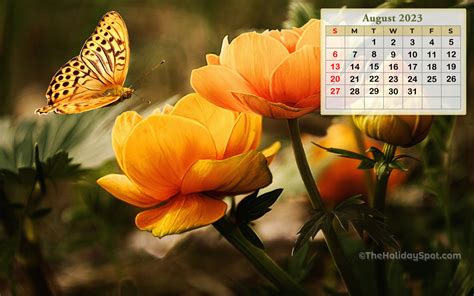 Calendar Wallpaper August 2023 2048x2048