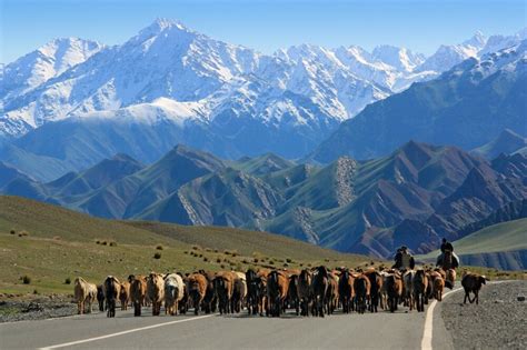 Tadschikistan • Kirgistan Große Seidenstraße Teil 3 Reise 3391