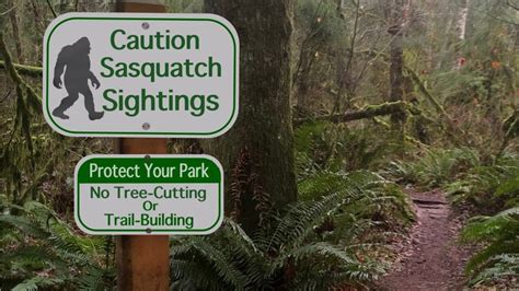 Sasquatch Watch Bigfoot Sightings Over The Years Fox News