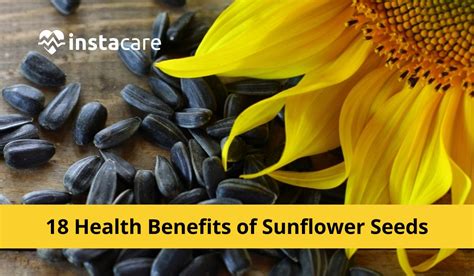 18 Health Benefits Of Sunflower Seeds