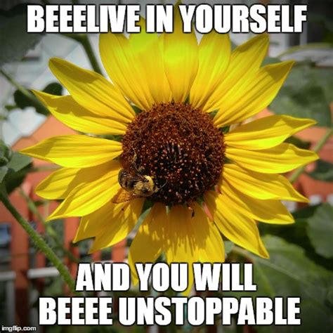 Sunflower And Bee Imgflip