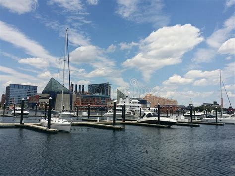 A View Of Baltimore Inner Harbor In Baltimore Maryland Usa In Summer