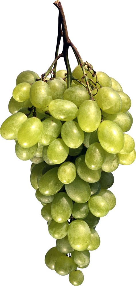Green Grapes | Green grapes, Grapes, Fruits images