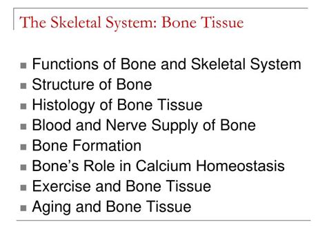 Ppt The Skeletal System Bone Tissue Chapter 6 Powerpoint