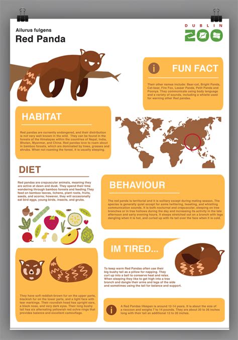 Animal Fact Guide Red Panda – Yoiki Guide