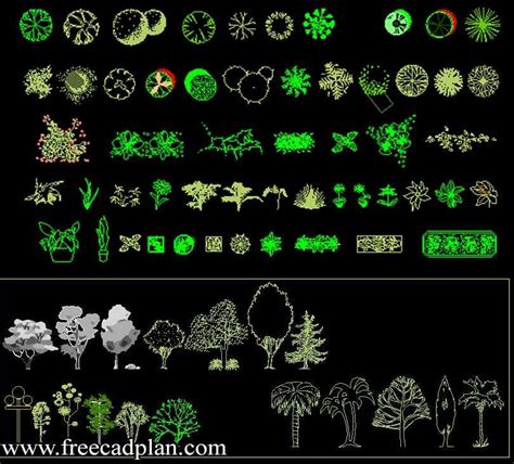 Trees And Plants Cad Block For Autocad Dwg Download Free Cad Plan
