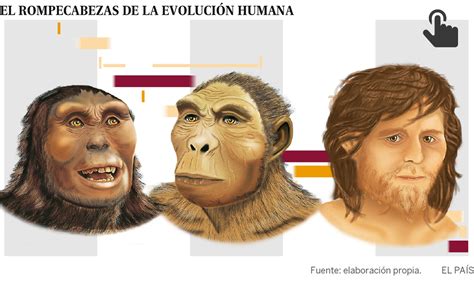 Evolución humana Enredos en la familia Ciencia EL PAÍS