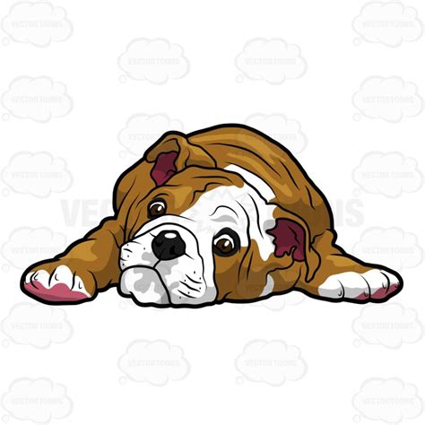 Bulldog Puppy Clipart Free Download On Clipartmag