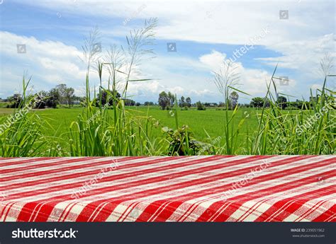 Outdoor Picnic Background With Picnic Table Stock Photo 239051962