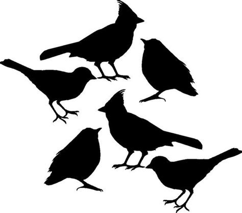 Hier finden sie bastelvorlagen zu geschenkkarten, taschen, salzteig und vielem mehr. Bird Decals set of Six vinyl wall decals stickers for DIy