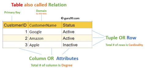 Relational Data Model In Dbms Database Concepts And Example