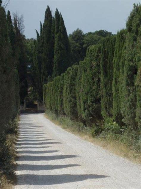 Pin On The Italian Countryside And Villa Di Corsano