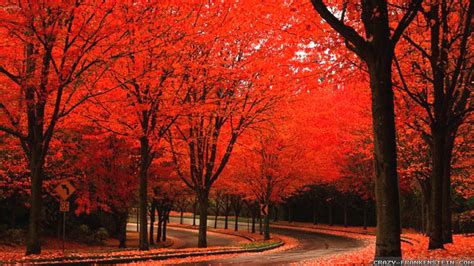 Beautiful Autumn Wallpapers 66 Background Pictures