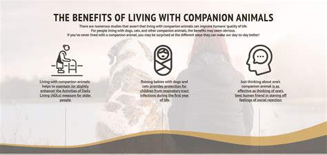 Benefits Of Living With Companion Animals Faunalytics