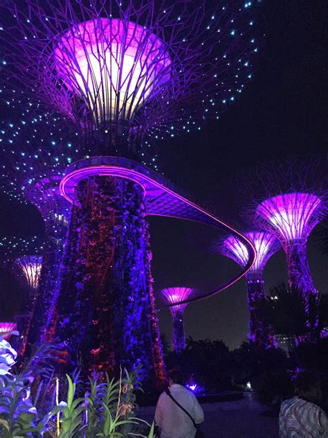 gardens by the bay, Singapore in 2024 | Singapore garden, Gardens by
