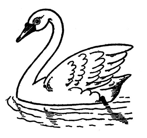 Coloring is a very useful hobby for kids. How to Draw Swans - The Graphics Fairy