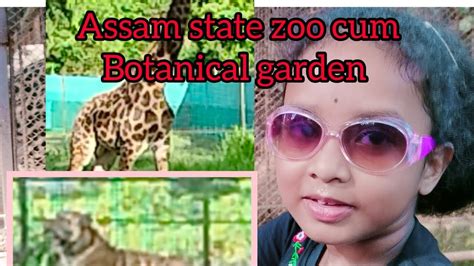 Assam State Zoo Cum Botanical Garden Youtube