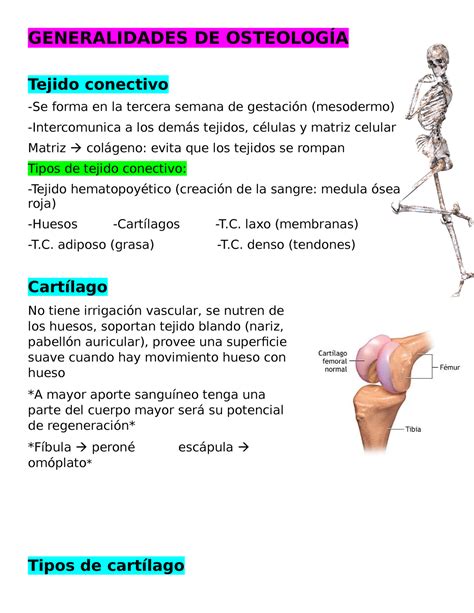 Generalidades De Osteología Generalidades De OsteologÍa Tejido