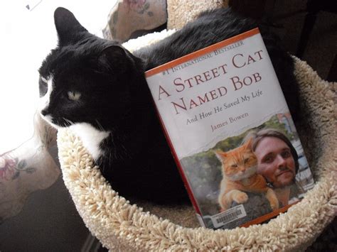 Grab A Book From Our Stack A Street Cat Named Bob And